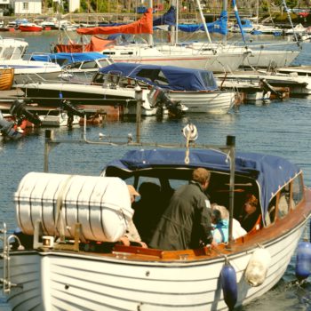 DSC_5404-e1493196326550-everglow DSC_5404-e1493196326550-everglow